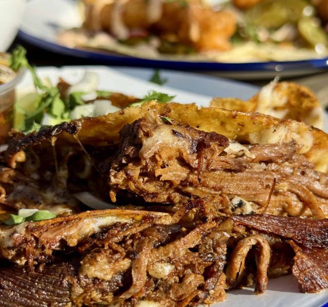 Close up of our slow-cooked beef taco, with fish taco and a margarita in background, photo taken outside our café