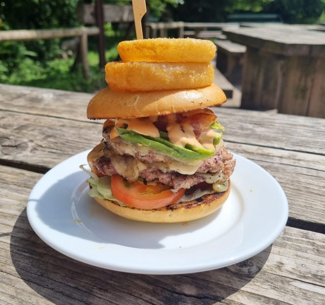 Burger with onion rings on white plate, on picnic table in sunshine.